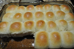 Dinner Rolls